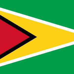 Guyana "ridiculous" Venezuela investigates incident of 6 injured Guyanese soldiers - AlbertoNews - Uncensored Journalism