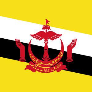 Royal Brunei Airlines reconnects Brunei and Balikpapan, strengthening regional ties and connectivity - The Bruneian