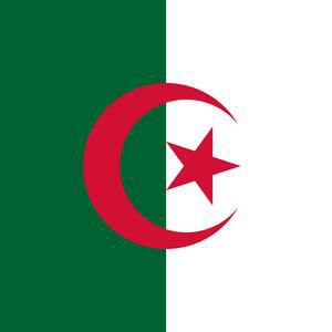 Algiers returns an Algerian under OQTF, despite his valid ID card